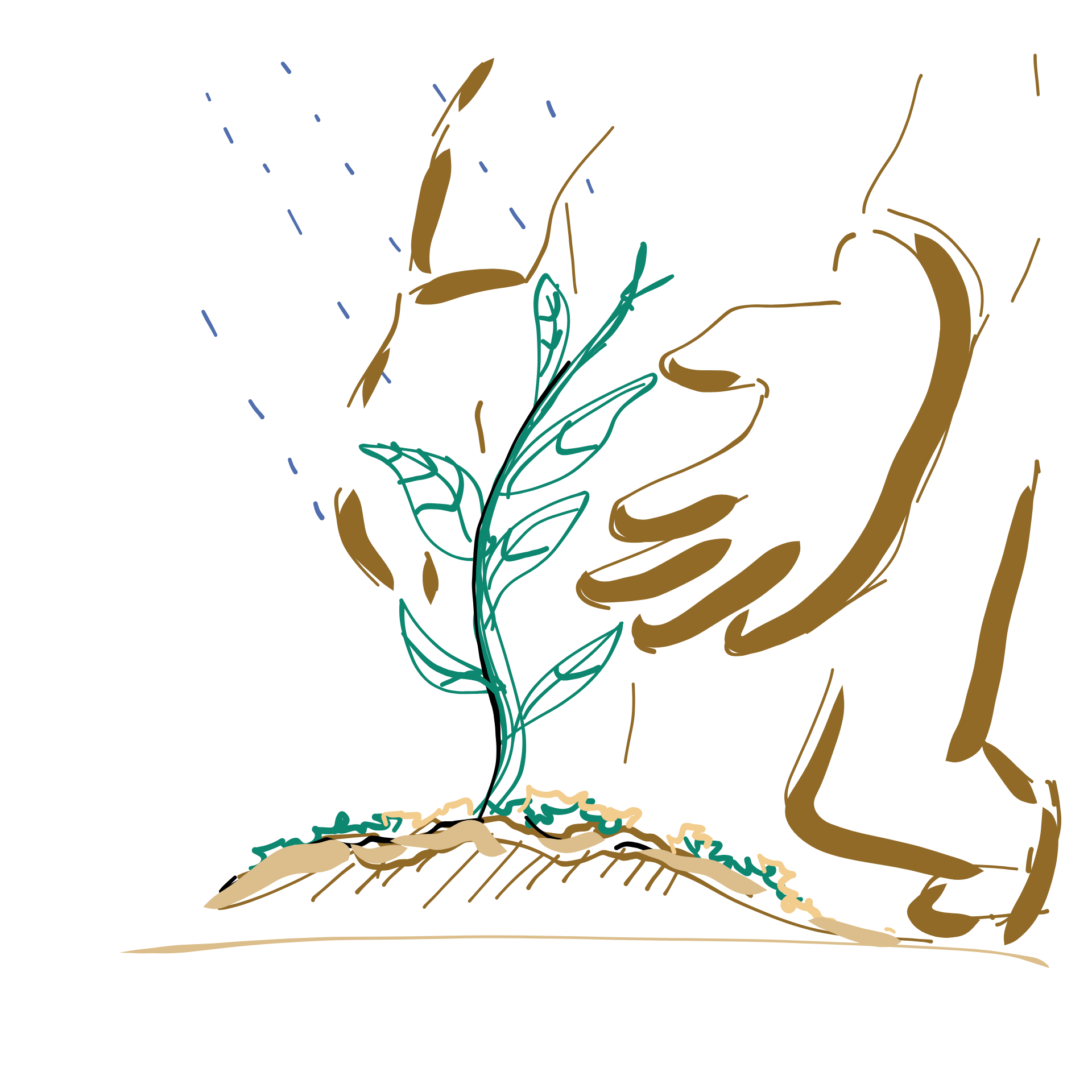 อยากให้น่านเป็นเมืองที่มีอากาศสะอาด หายใจได้เต็มปอดตลอดปี เราจะสร้างสรรค์อะไรดี ?