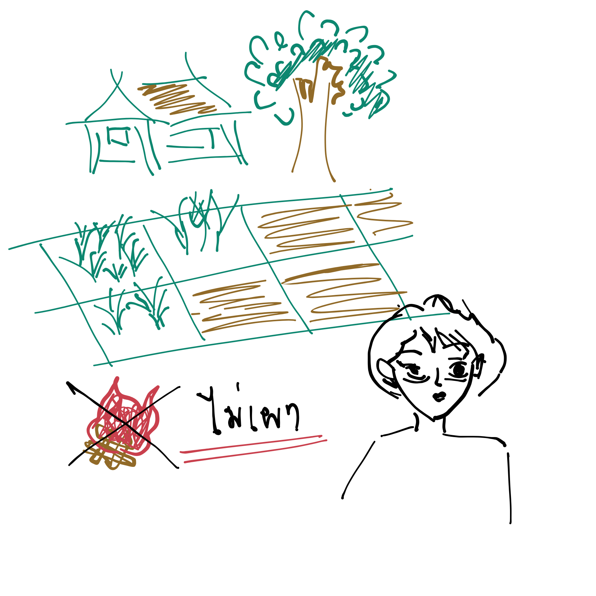 อยากให้น่านเป็นเมืองที่มีอากาศสะอาด หายใจได้เต็มปอดตลอดปี เราจะสร้างสรรค์อะไรดี ?